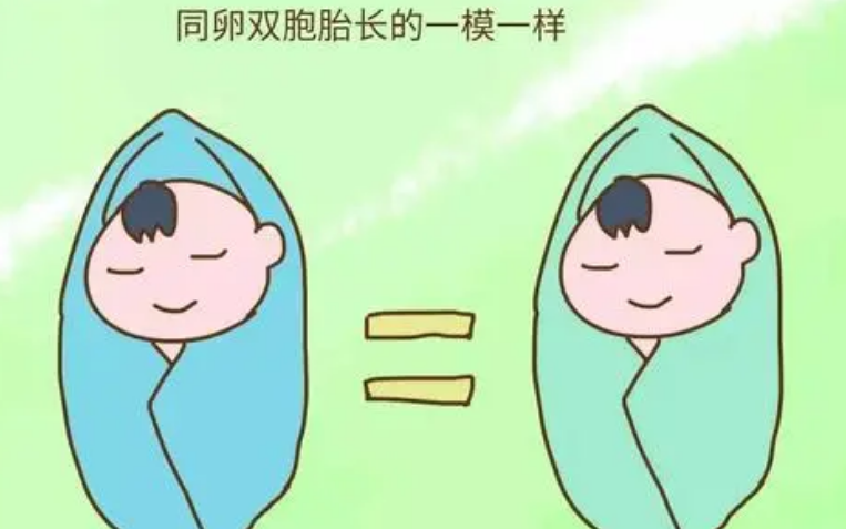 怀双*胎风险更大