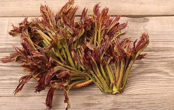 香椿具有健脾开胃促进食欲的作用
