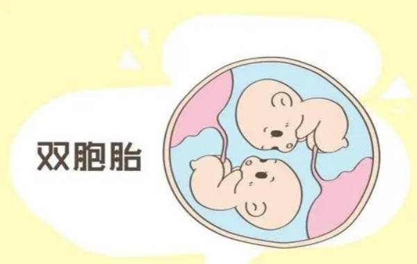 做试管双*胎可能脑瘫的几率比较大
