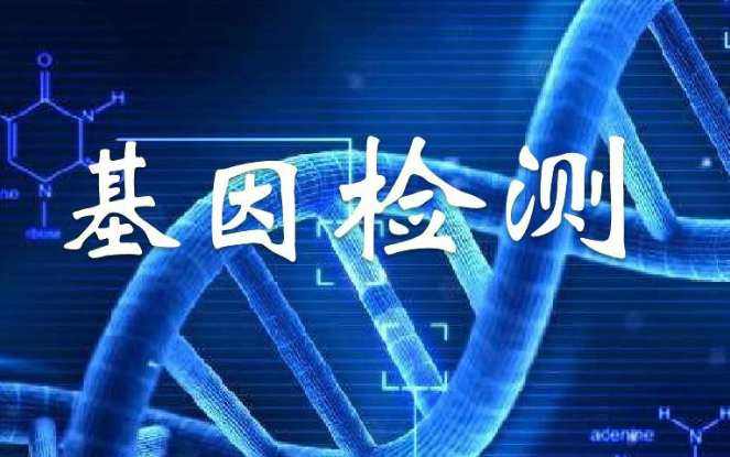 基因检测法可以确定胎儿的助孕