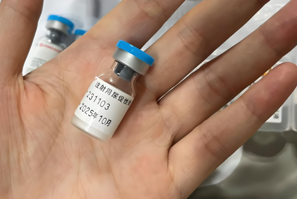 药物种类会影响促排费用