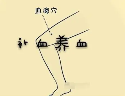 血海穴位于腓骨和胫骨之间