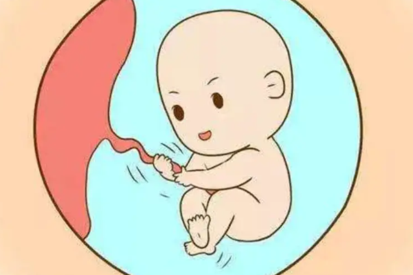 试管取卵后易出现腹胀