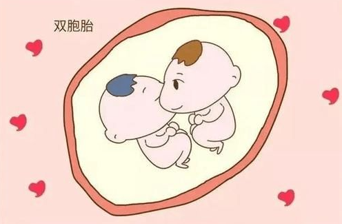 谢娜是自然受孕还是试管婴儿，做试管容易生双*胎吗？