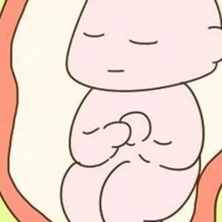 下一篇