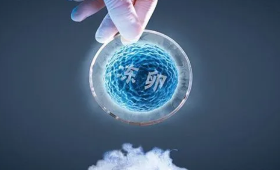 2023鄂州当地的医院有卵子K吗？想做试管婴儿需要卵子