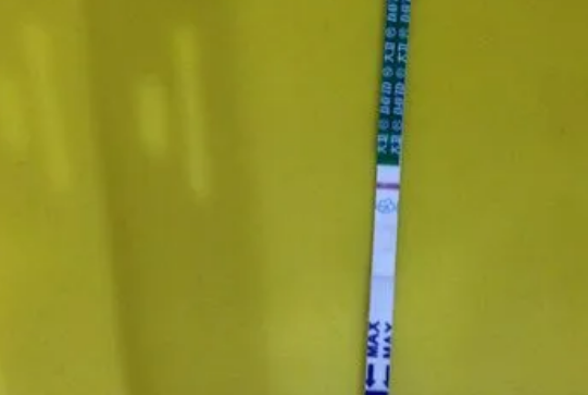 hCG是一种由胎盘细胞分泌的激素