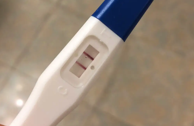 验孕试纸不能判断怀的是男是女