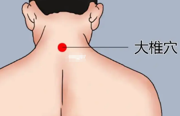 清天柱骨具有祛风散寒的作用
