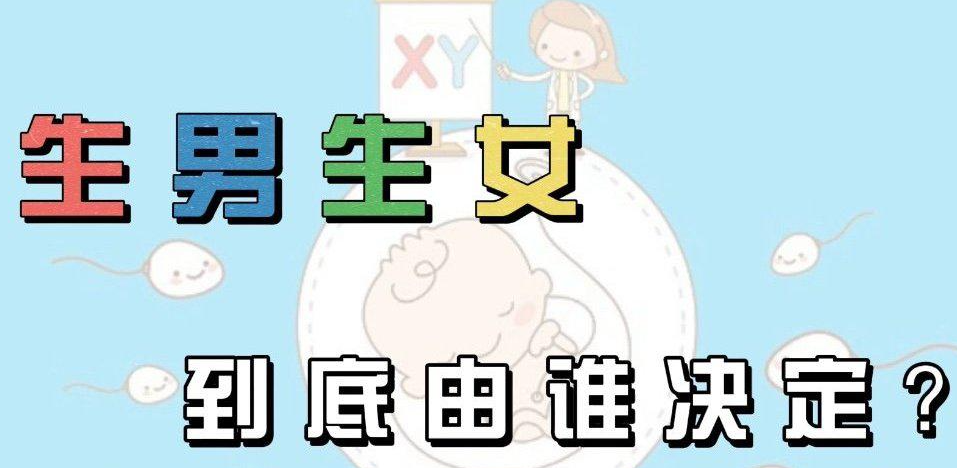 右侧卵泡怀孕必助孕准吗，卵泡大小和男女之事的关系!