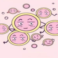 上一篇