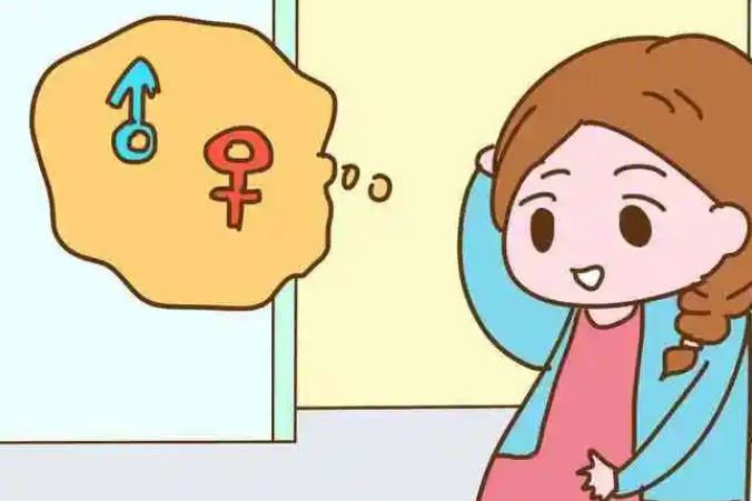 B超可以鉴别胎儿是男是女