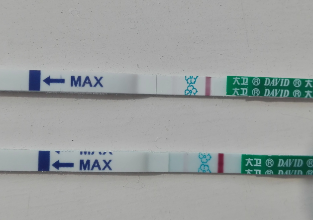 CT线一起出现有可能是怀孕了