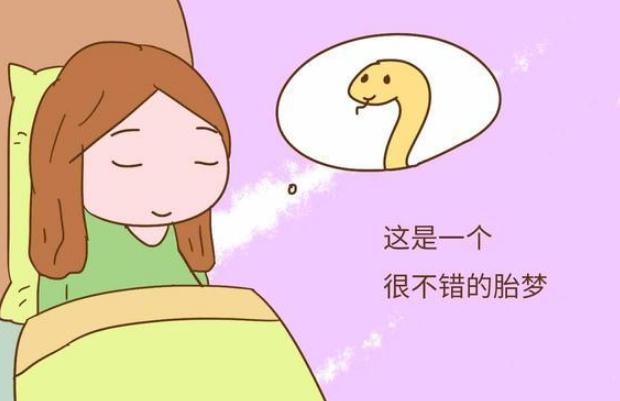 孕妇梦见鱼预示贵子降临