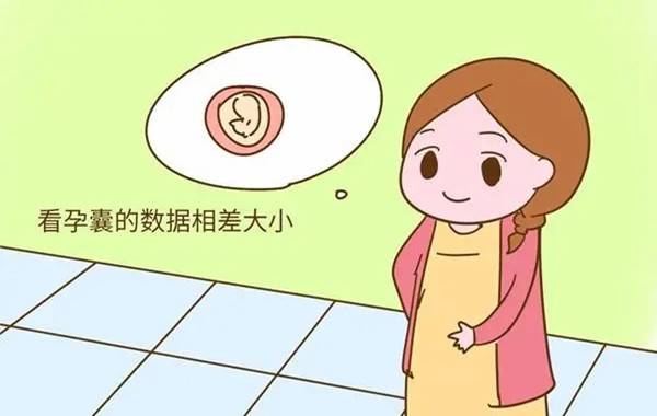 胎囊的2个数据看不出是孩子