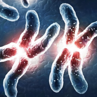 染色体异常夫妻的曙光：三代试管技术助你拥有健康宝宝