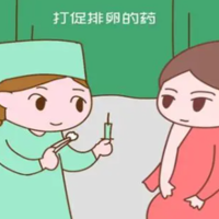 下一篇