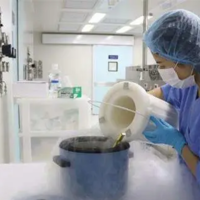 下一篇