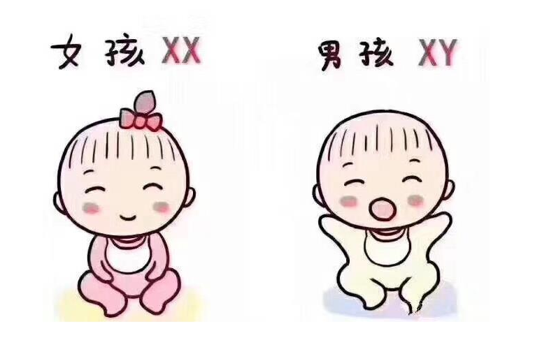 私人医院做试管选孩子，科技改变生育的选择