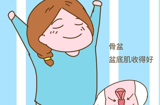查看专业资质可以判断盆底肌康复治疗是否正规