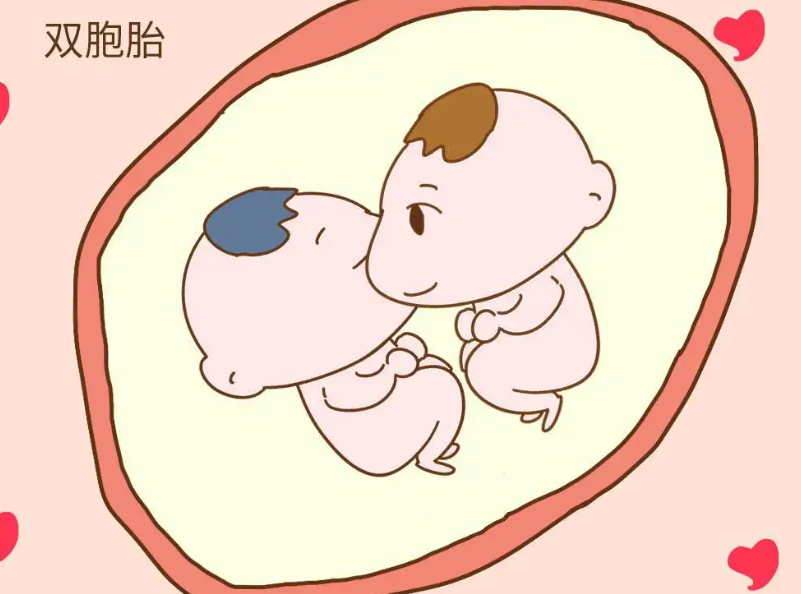 怀双*胎肚子稍大一些