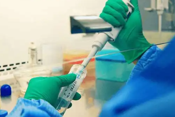 精子质量好做试管成功率高