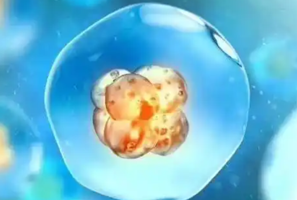 年龄对试管成功率婴影响很大