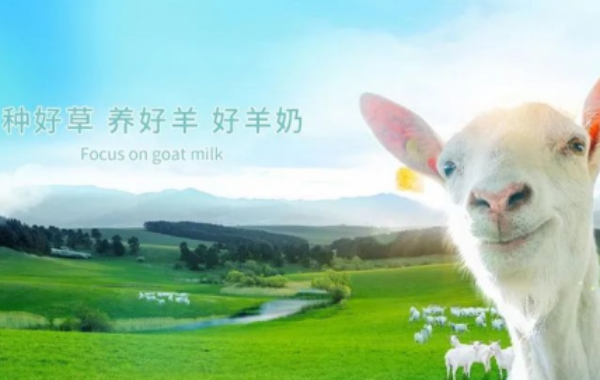 美羚是国内优秀羊奶粉品牌