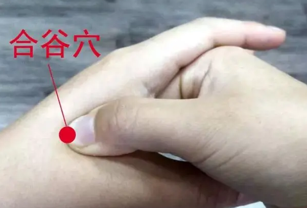 点揉合谷可以缓解发热带来的不适