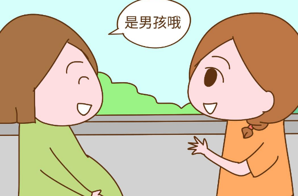 胎儿的男女由父母染色体决定