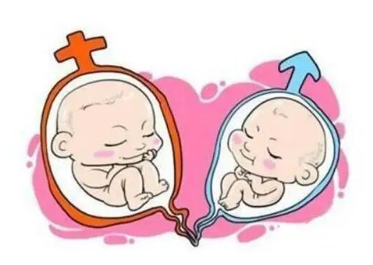 试管婴儿双生子费用大约多少？试管婴儿双生子费用明细