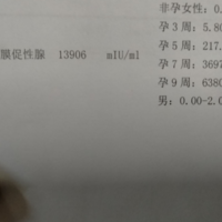 上一篇